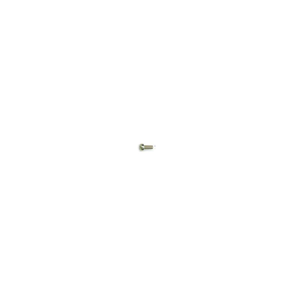 PARAFUSO MOTOR PARTIDA BOSCH (ESCOVA DINAMO VW/4 X 10 MM)